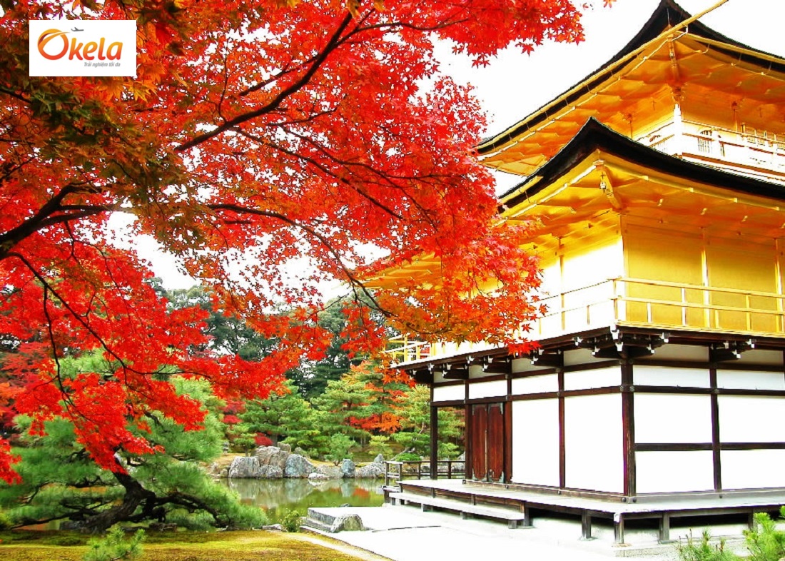 Tour du lịch Nhật Bản Tết 2020 - Chùa vàng Kinkakuji Tour du lịch Nhật Bản Tết 2020 - Chùa vàng Kinkakuji