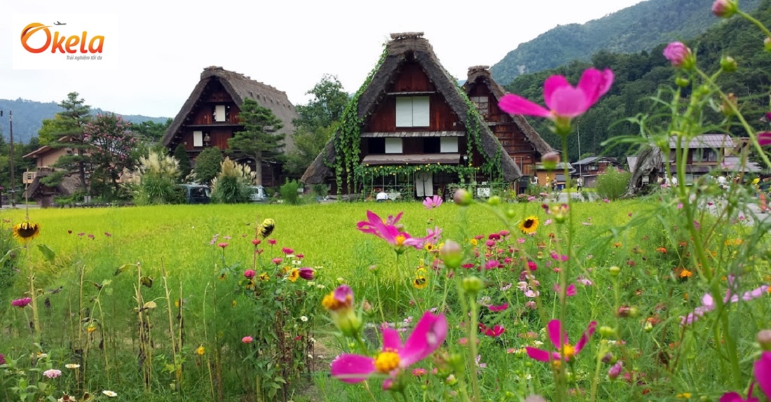 Địa điểm du lịch tại Nhật Bản - Làng cổ Shirakawago Địa điểm du lịch tại Nhật Bản - Làng cổ Shirakawago