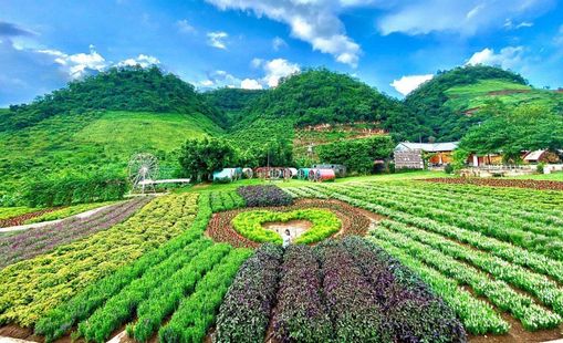 Mộc Châu Happy Land - Du lịch Mộc Châu