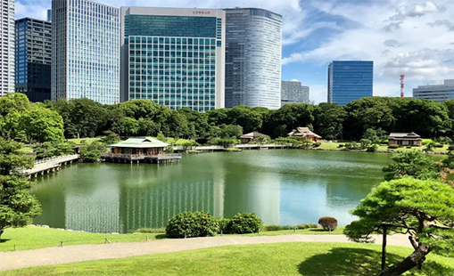 Vườn Hamarikyu (Thủ đô Tokyo) - Mùa hè ở Nhật Bản