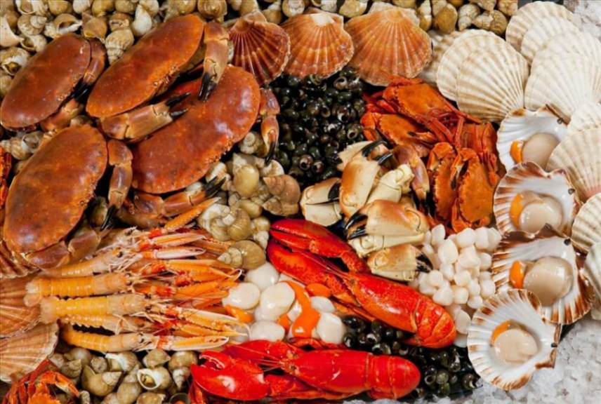 Hải Sản Phan Thiết