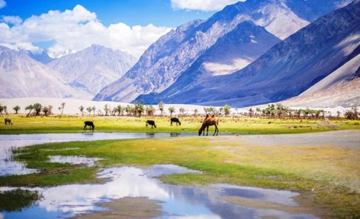 Thung lũng Nubra