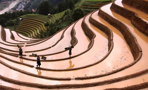 Mùa nước đổ Mù Cang Chải
