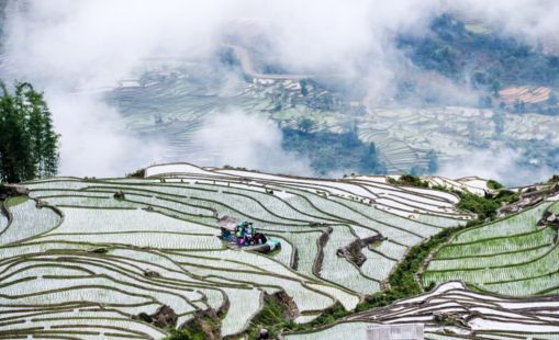 Mùa nước đổ Sapa
