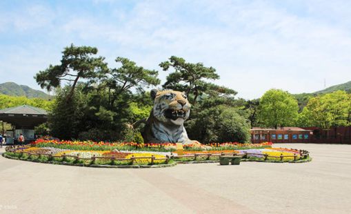 Vườn thú Seoul - Hàn Quốc