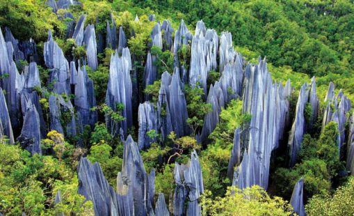 Kinh nghiệm du lịch Côn Minh