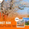 Tour du lịch Nhật Bản 7N6Đ