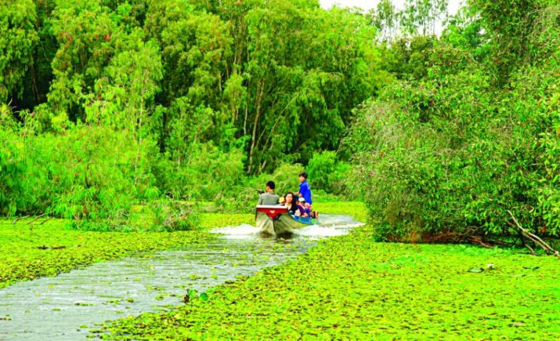 Rừng tràm Trà Sư