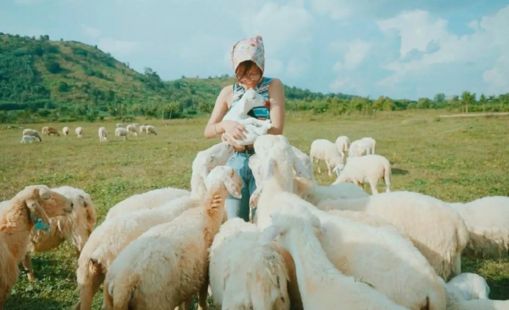 Du lịch Nghệ An có gì