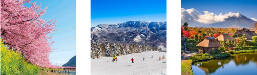 Tour cung đường vàng Nhật Bản