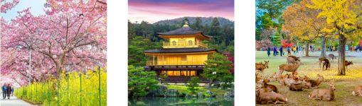 Tour Nhật Bản
