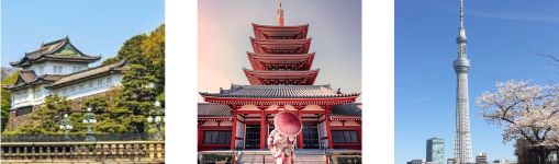 Tour cung đường vàng Nhật Bản