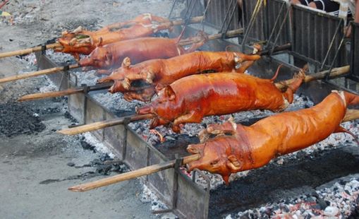 Tam Đảo Vĩnh Phúc