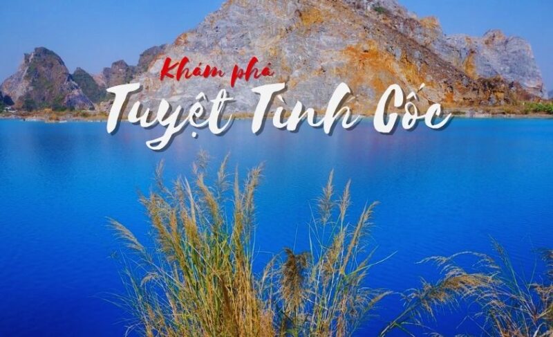 Tuyệt tình cốc Hải Phòng