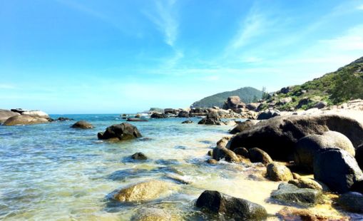 Mũi Vi Rồng Bình Định
