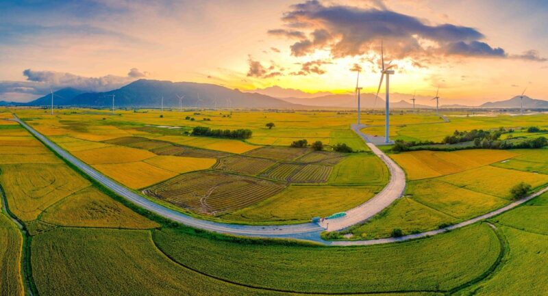 Cánh đồng điện gió Đầm Nại