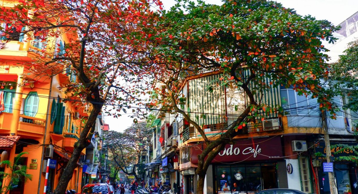 Phố Cổ Hà Nội