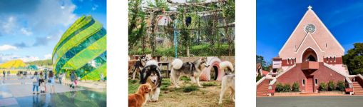 Du lịch Team Building Đà Lạt