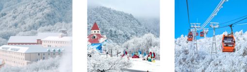 Tour Thành Đô
