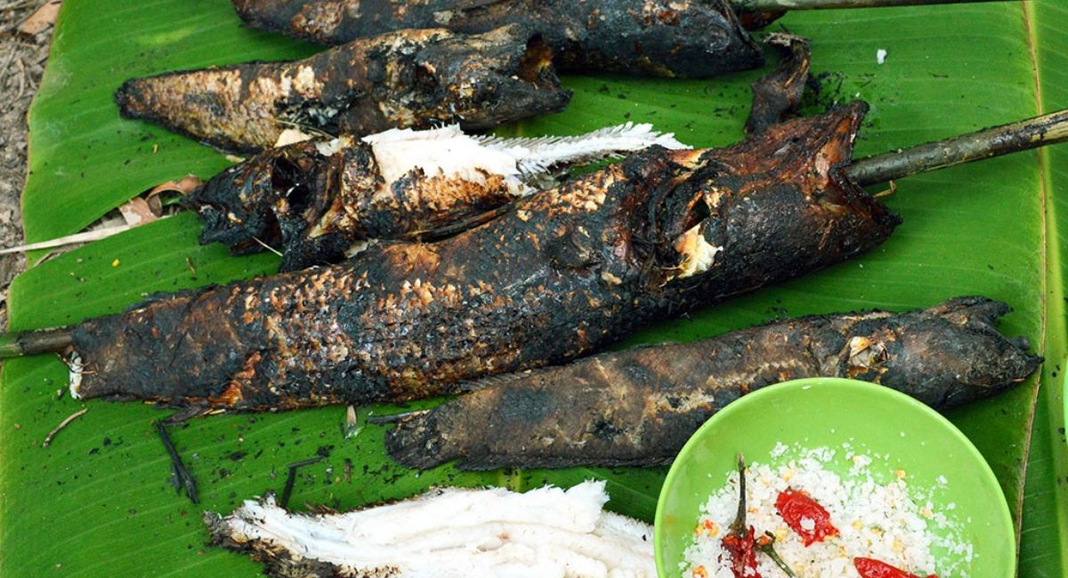 Vườn Quốc gia U Minh Thượng