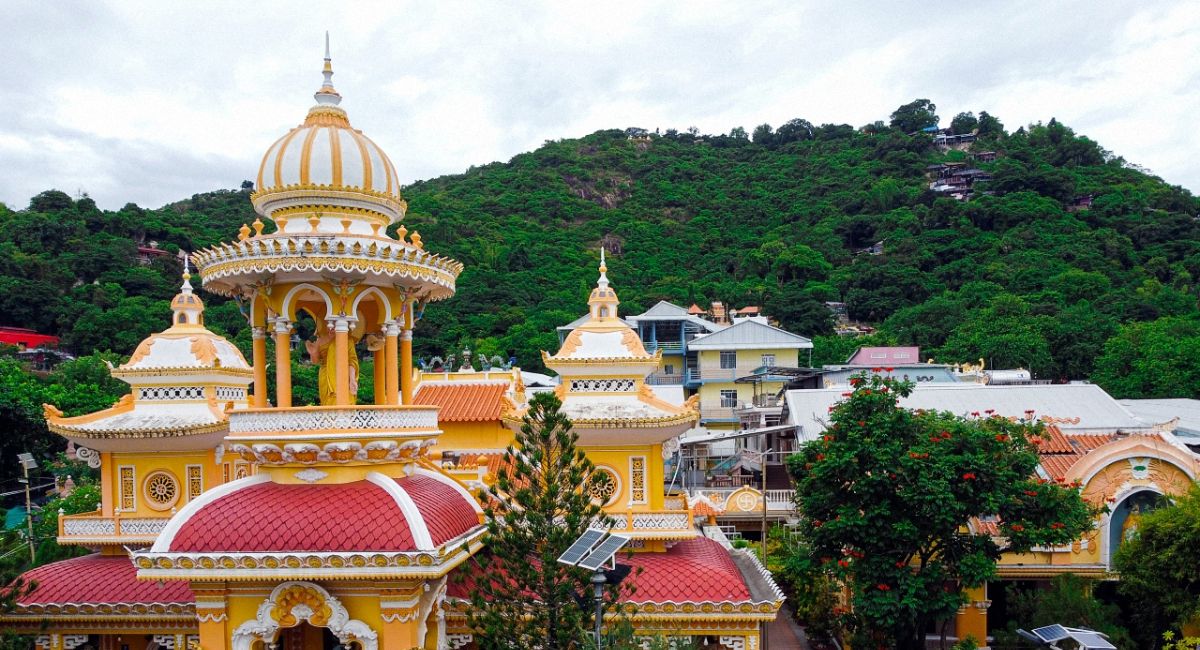 Cánh đồng hoa Thiên Anh