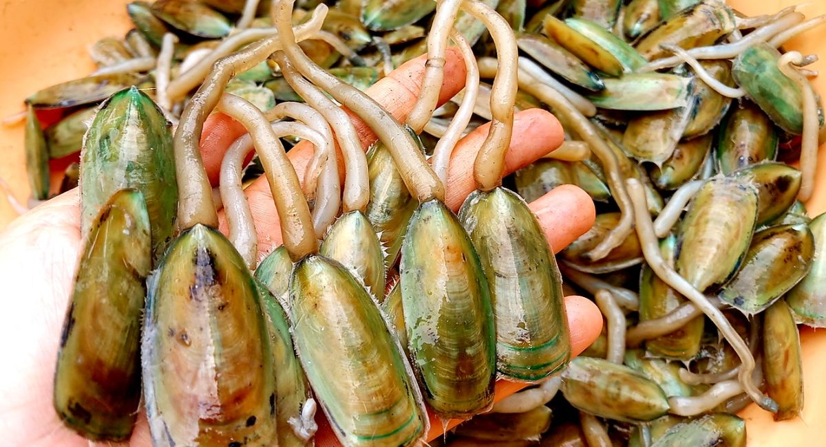 Đặc sản Kiên Giang