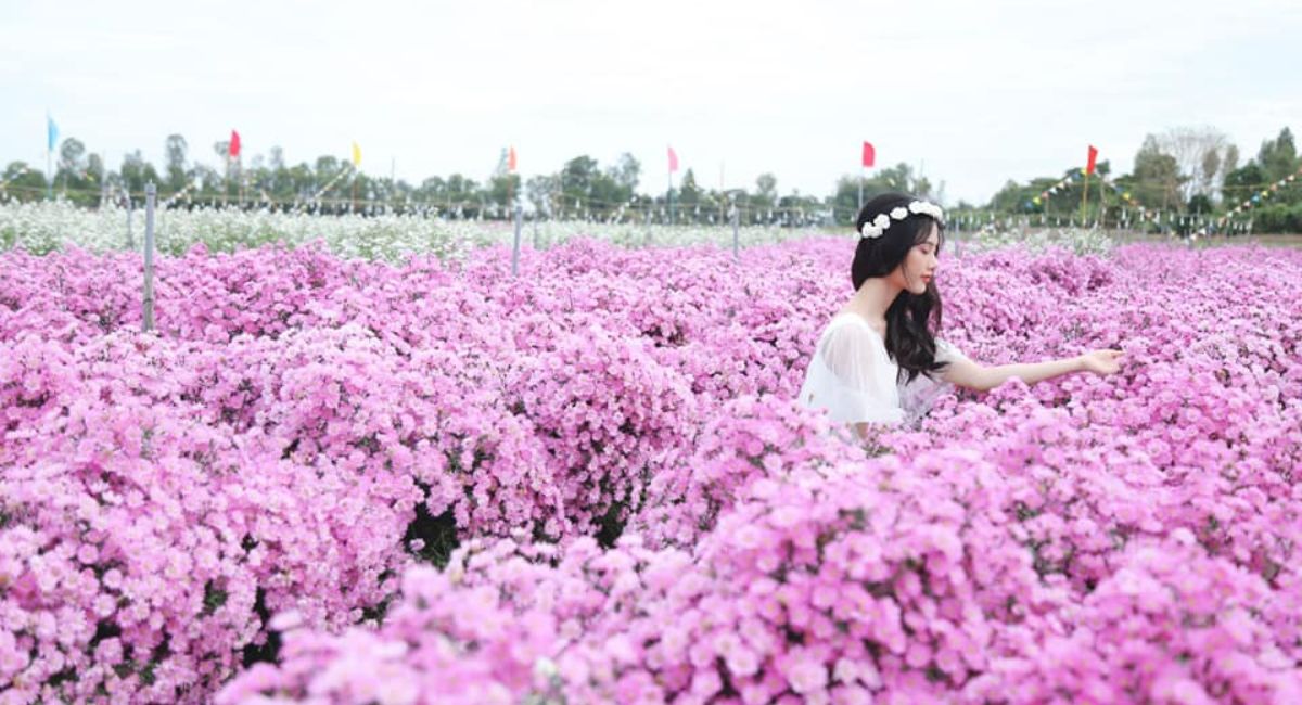 Thiền Viện Trúc Lâm An Giang