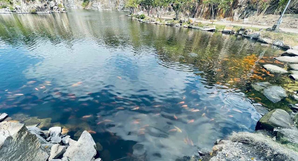 Thiền Viện Trúc Lâm An Giang
