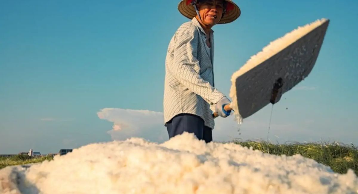 Ghé thăm Cánh đồng muối Bạch Long