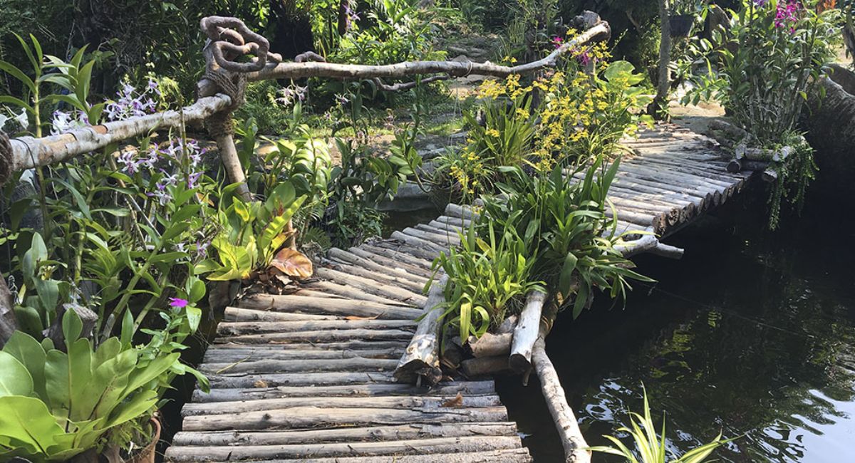 Suối Hoa Lan Nha Trang