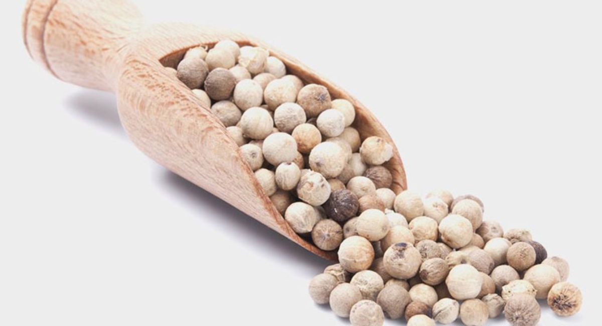 Vườn tiêu Phú Quốc