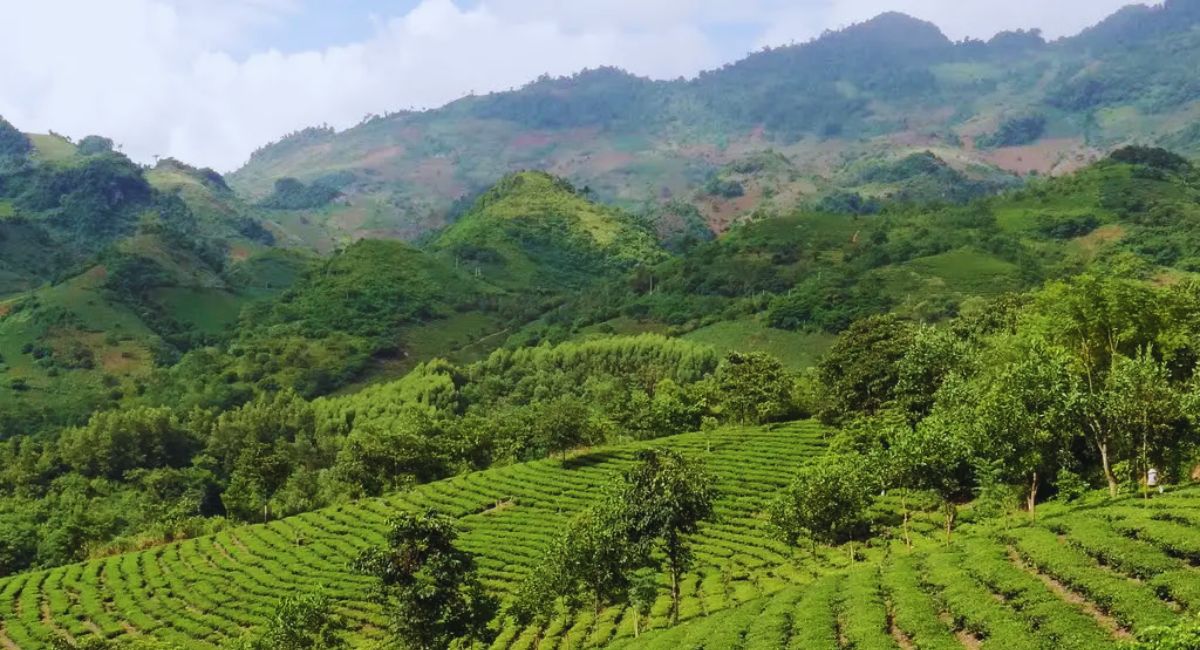 Thác Háng Đề Chơ
