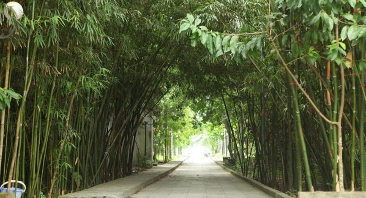 Đền Trúc Hà Nam