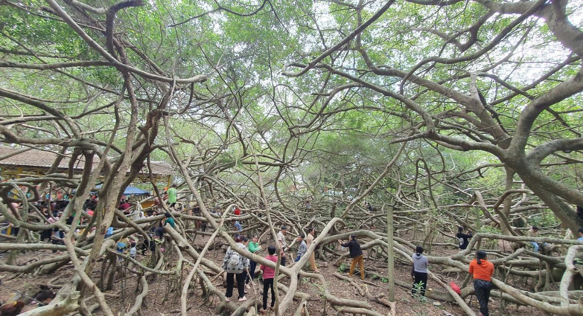 Địa điểm du lịch Cần Thơ