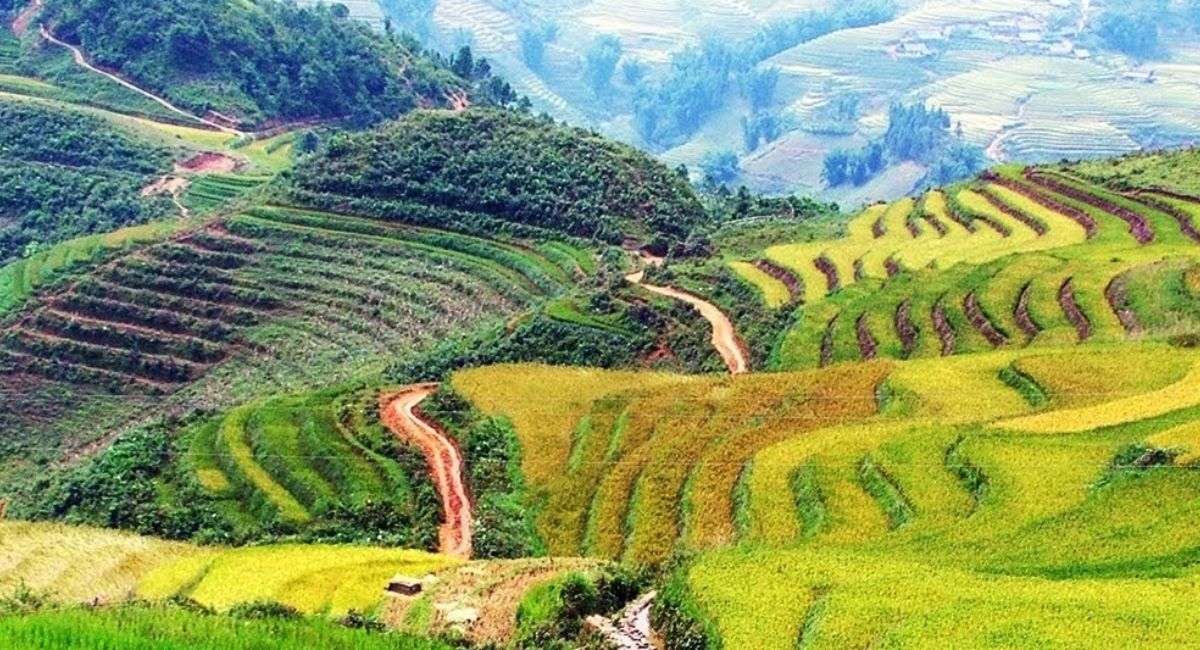 Cao nguyên Sìn Hồ