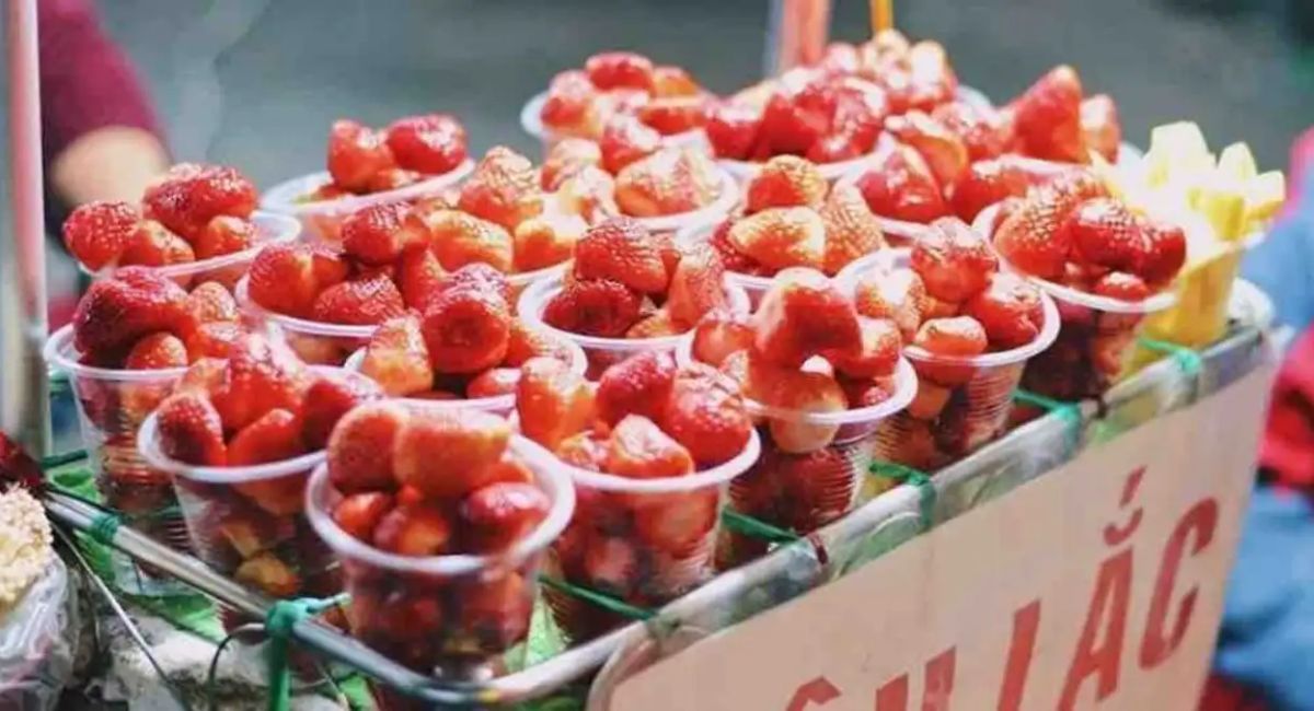 Du lịch Đà Lạt
