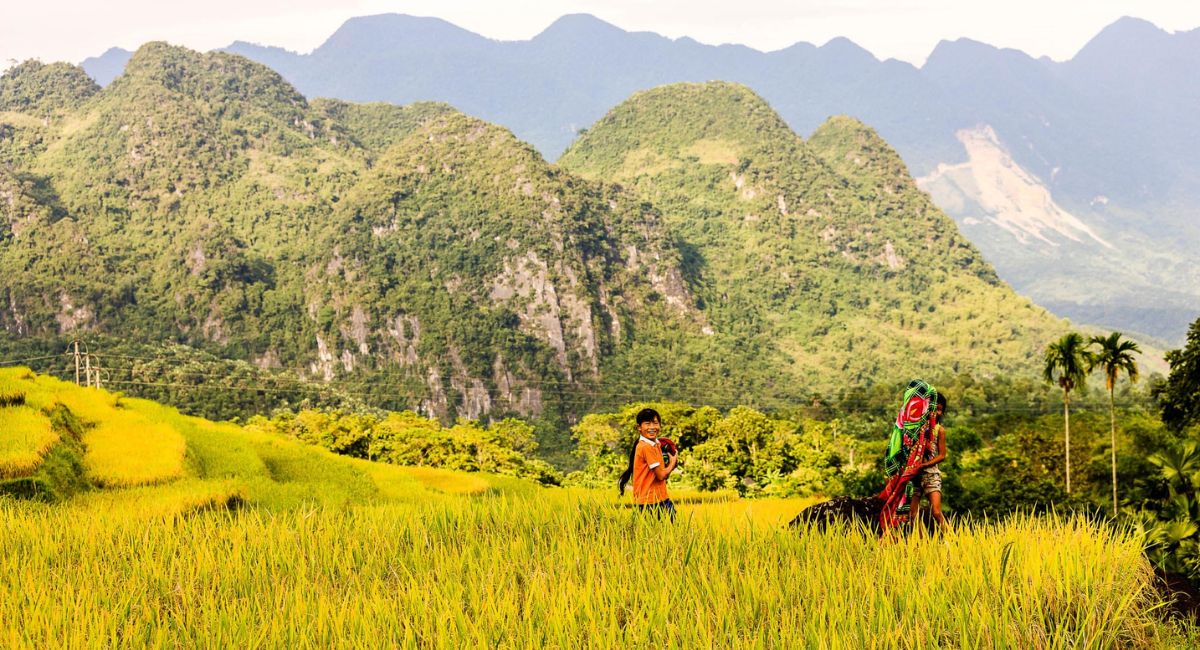 Du lịch Pù Luông