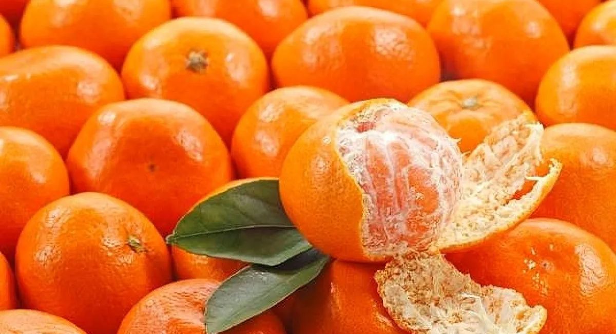 Đặc sản Hà Nam