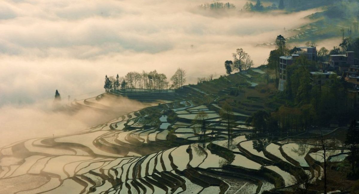 Làng cổ Vụ Nguyên