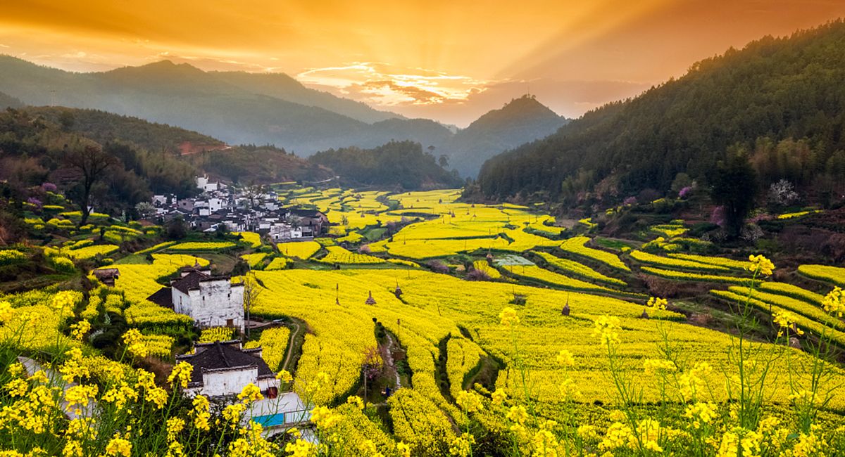 Làng cổ Vụ Nguyên