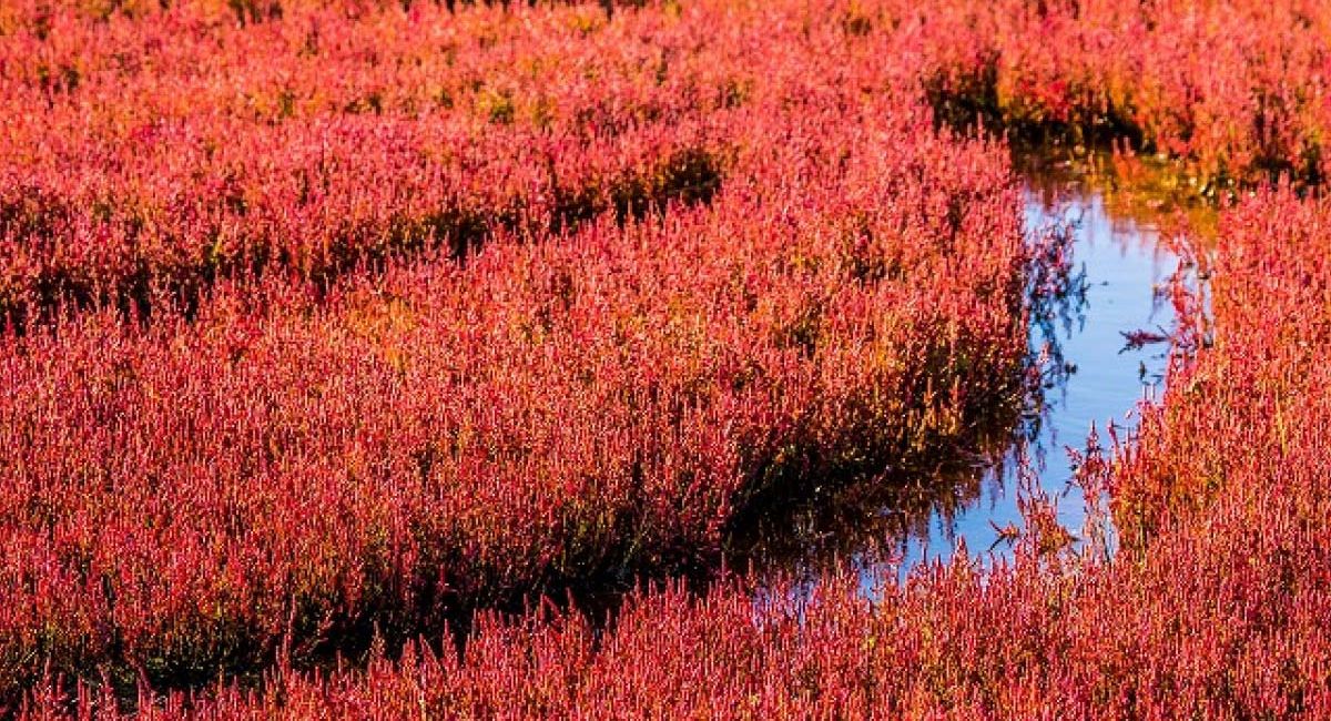Du lịch Hokkaido