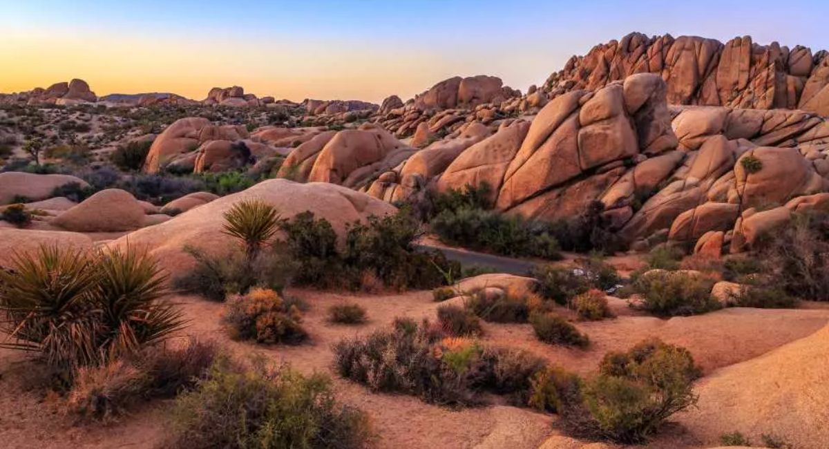 Công viên Quốc gia Joshua Tree: Vẻ Đẹp Hoang Dã của California