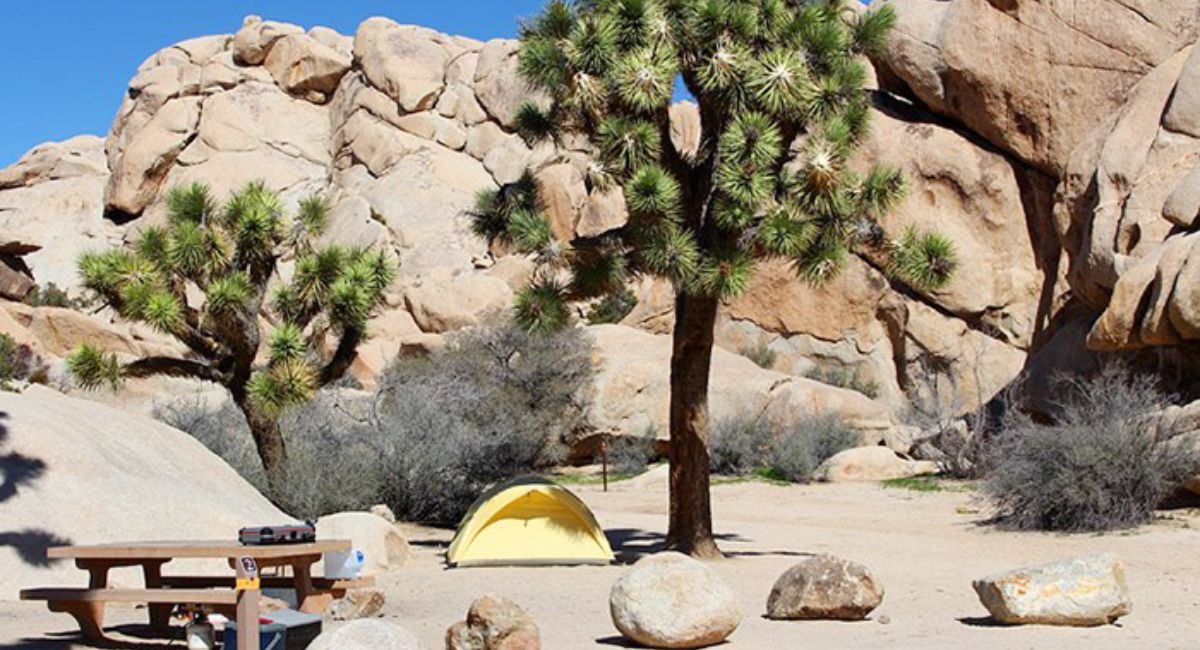 Công viên Quốc gia Joshua Tree: Vẻ Đẹp Hoang Dã của California