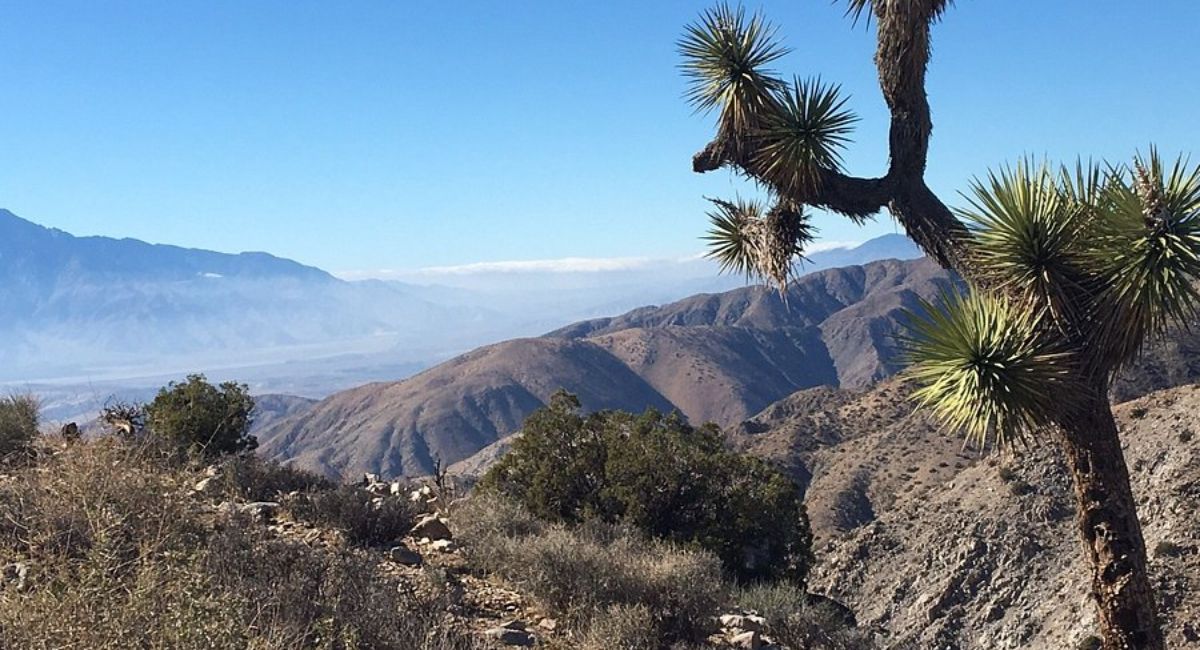 Công viên Quốc gia Joshua Tree: Vẻ Đẹp Hoang Dã của California